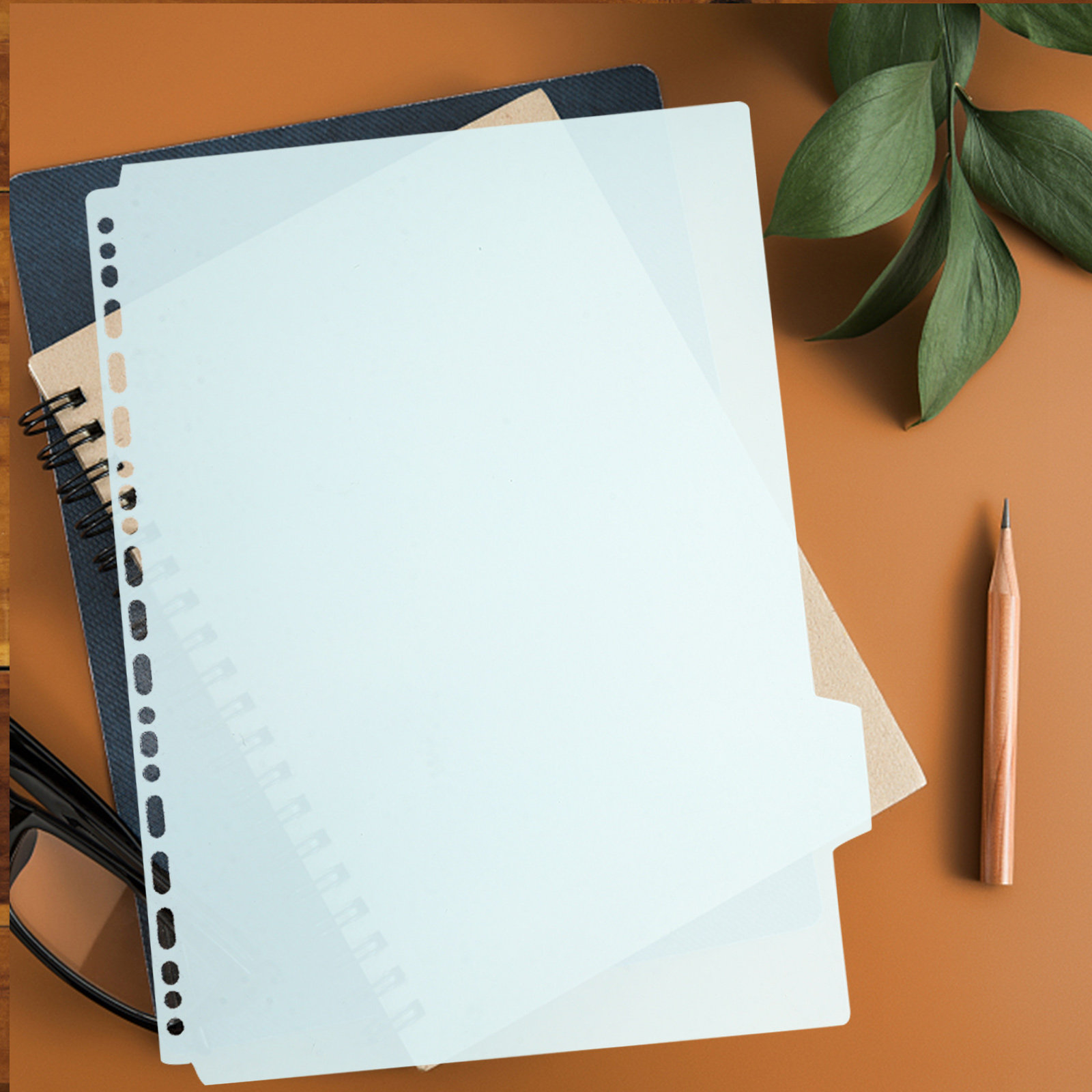 6 قطع من فواصل الملفات البلاست - مراجعة Tab Divider A4 وسعره